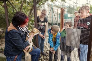 1709_ParaZOO_foto_Vit_Svajcr_013_PT